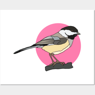 Black Capped Chickadee Posters and Art